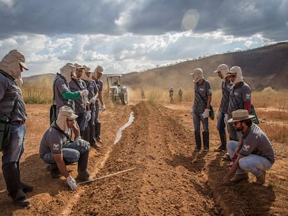 Agricultores recebem treinamento sobre o solo.