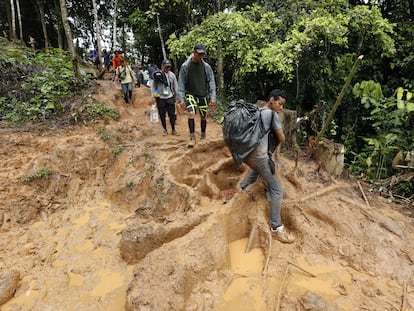 Migrantes venezolanos suben una montaña en el Tapón del Darién (Colombia)