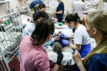 Personal sanitario atiende a niños heridos de Mariupol en un hospital de Zaporiyia, el viernes. Los combates han llegado al centro de la ciudad de Mariupol (al sudeste de ucrania), el principal puerto en el mar de Azov, mar cuyo acceso Ucrania ha reconocido perder la noche del viernes.