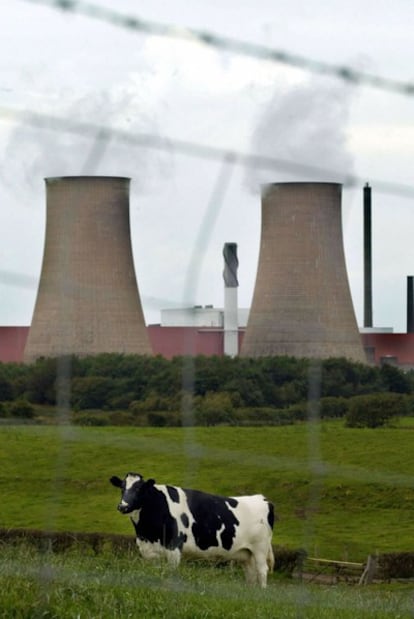 Una vaca pasta en los alrededores de la planta nuclear de Sellafield (Cumbria, norte de Inglaterra). La fotografía fue tomada en septiembre de 2002.