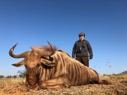 Marcial Gómez Sequeira poses with a stuffed wildebeest killed in South Africa.