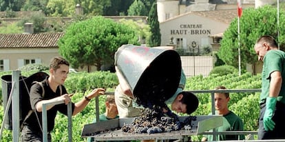 Vendimia en los vi&ntilde;edos de Chateau Haut Brion, en Pessac, cerca de Burdeos (Francia).