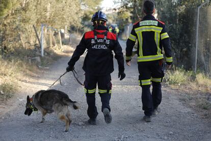 Dos bomberos acompañados de un perro inspeccionan la zona en busca de indicios de la ubicación de los menores.