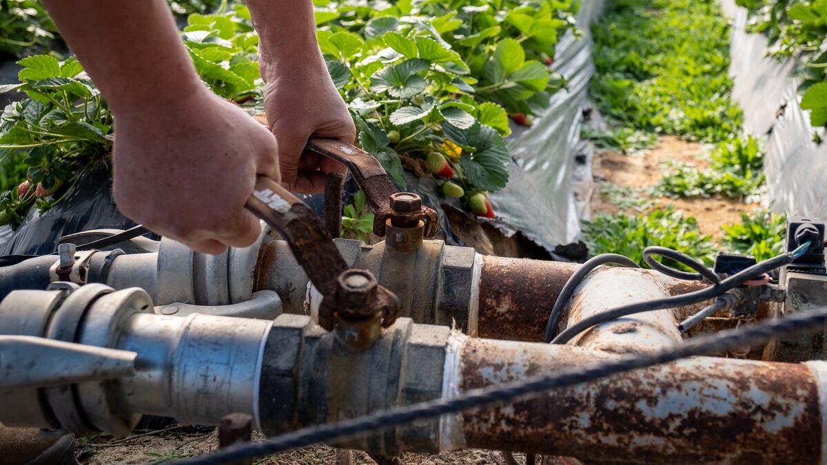 Videoanálisis: ¿Cómo va a ser la extracción de agua de Doñana que se va a  regularizar?