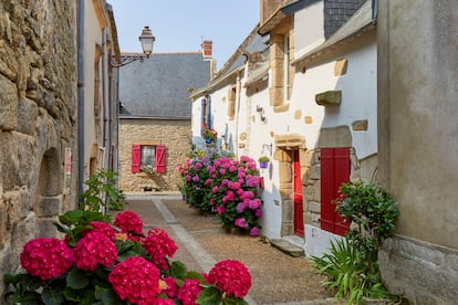 Calle con flores en el centro de la localidad francesa de Piriac-sur-Mer.