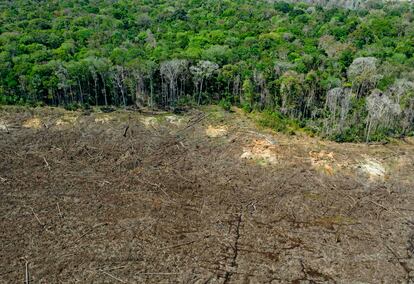 Vista área de una zona deforestada en el Mato Grosso (Brasil).
