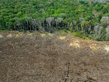 Zona deforestada de la Amazonia brasileña.