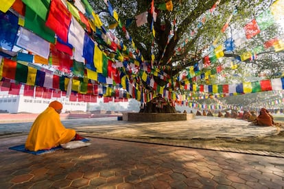 El peregrinaje a Lumbini (en la foto), lugar de nacimiento de Buda, es uno de los grandes viajes espirituales del subcontinente asiático. Se puede visitar el lugar exacto donde nació Siddhartha Gautama hace 2.500 años (redescubierto hace solamente un siglo) y recorrer la colección de templos construidos por las naciones budistas vecinas.