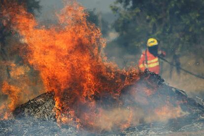 Bombeiro tenta extinguir as chamas durante incêndio que começou durante a estação de seca em Brasília. Segundo o Instituto Nacional de Pesquisas Espaciais (Inpe), os incêndios florestais aumentaram 83% com relação ao mesmo período de 2018.