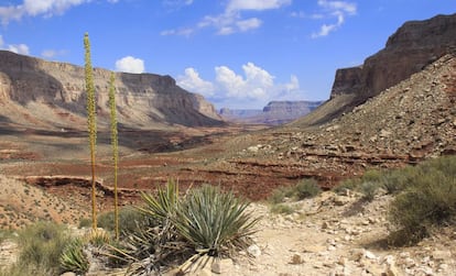 Ruta hacia la aldea de Supai, en el cañón de Havasu (Arizona).
