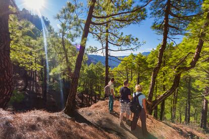 Parque Nacional de La Caldera de Taburiente, en la isla de La Palma.