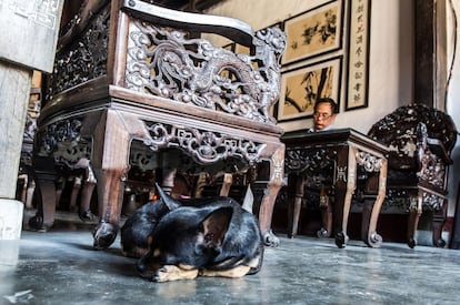 Las casas típicas japonesas son uno de los principales atractivos turísticos en Hoi An. Esta en concreto se une al puente cubierto que caracteriza y da entidad a esta pequeña joya de Oriente.