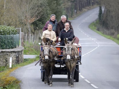 Los cuatro jubilados alaveses en un descanso del entrenamiento para llegar a El Rocío
