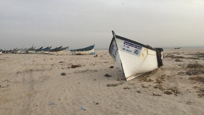 Varios botes, en el barrio pesquero de Lassargas, en Dajla, el 21 de noviembre.