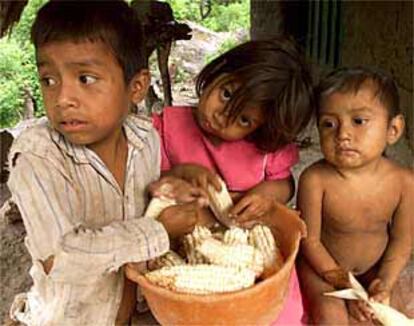 Unos niños desgranan maíz en su casa de Tesoro Abajo, 200 kilómetros al oeste de Guatemala ciudad.