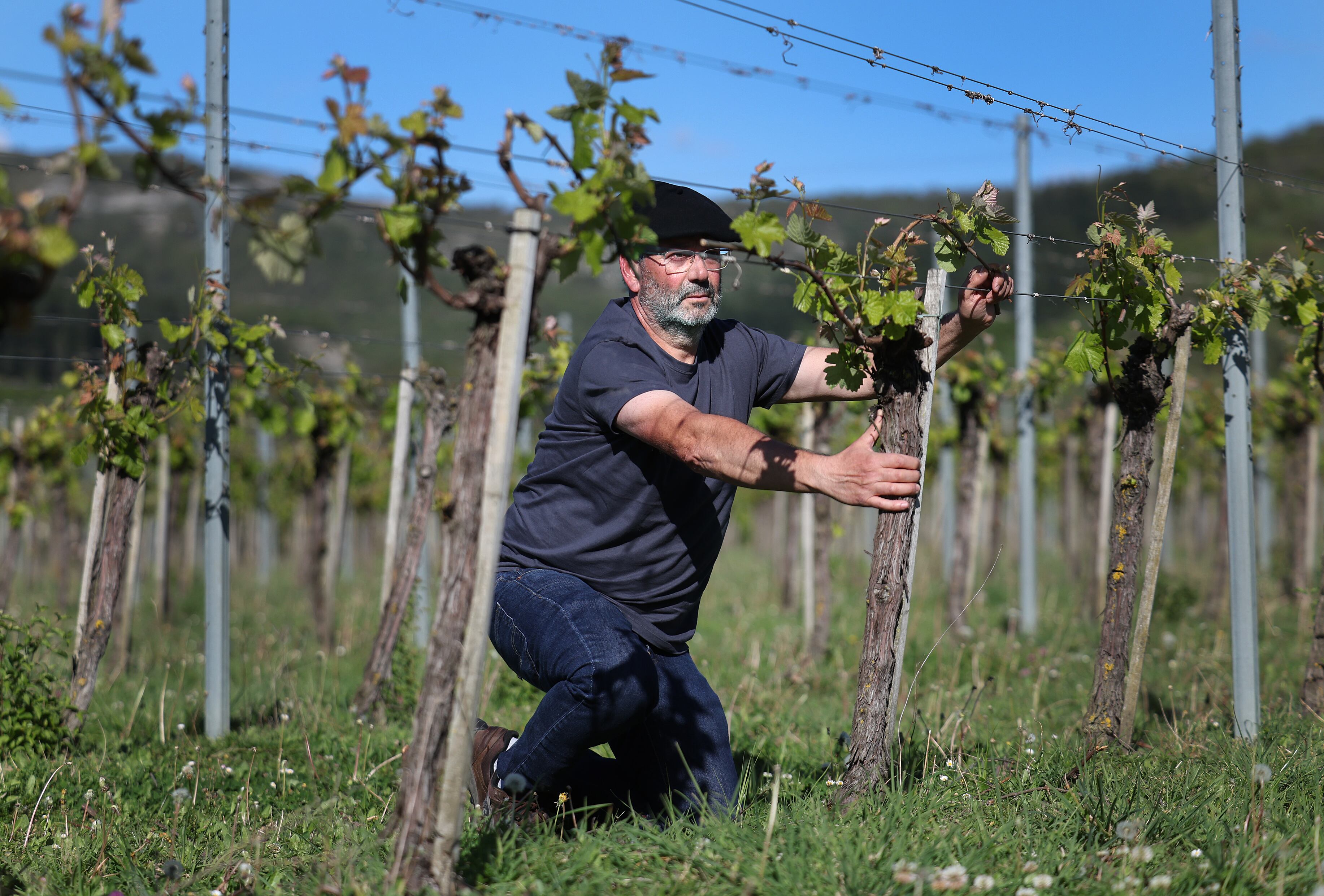 Juanjo Tellaetxe se encarga tanto de la bodega como de las seis hectáreas de viñedos que tiene plantadas en la actualidad. “Aquí estoy yo solo y todo lo que puedo hacer yo, lo hago yo, desde el chico de los recados hasta lo gordo