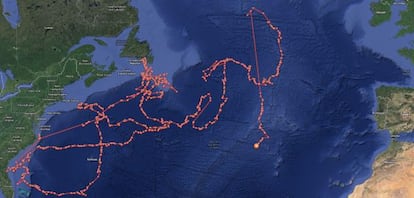 Ejemplo de seguimiento de tiburones de la aplicación de Ocearch.