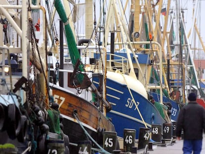 Embarcaciones pesqueras en el puerto de Buesum (Alemania).