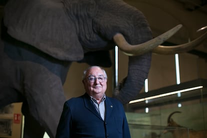 Moncho Núñez, divulgador científico, fotografiado en el Museo de Ciencias Naturales de Madrid.