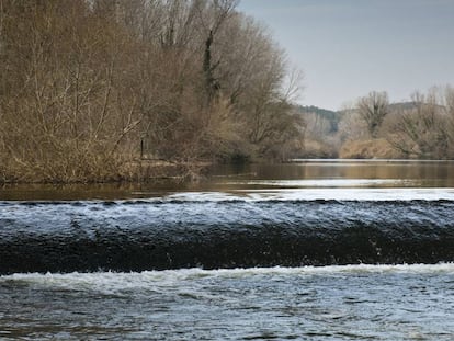 El riu Ter al seu pas per Colomers (Baix Empordà).
