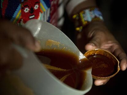 Mistura de ayahuasca sendo servida em um ritual.