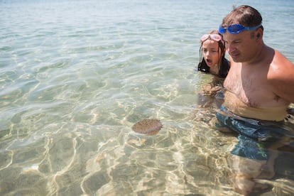 Ante la picadura de una medusa hay que lavar la zona con agua de mar, nunca con agua dulce, y aplicar compresas frías.