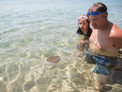 Ante la picadura de una medusa hay que lavar la zona con agua de mar, nunca con agua dulce, y aplicar compresas frías.