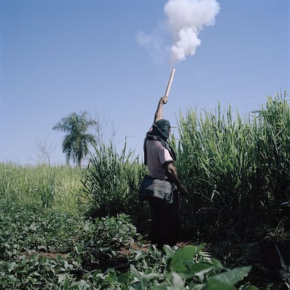 El barcelonés Jordi Ruiz Cirera (1984) es fotógrafo documental que muestra en la exposición su trabajo 'The United Soya Republic' (2013-14) sobre el cultivo intensivo de soja en Paraguay y sus consecuencias para las familias desplazadas y la naturaleza.