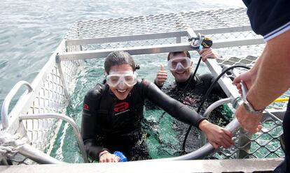 Dos buceadores salen de una jaula en una expedición de Shark Cage Diving al sur de Australia