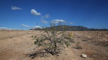 Terrenos en Alhama (Murcia) donde la empresa Premursa proyecta construir un parque tematico de Paramount