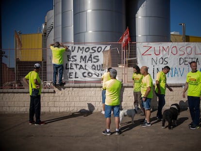 Varios de los trabajadores que mantienen su encierro en la fábrica de Zumosol desde el pasado 20 de diciembre.