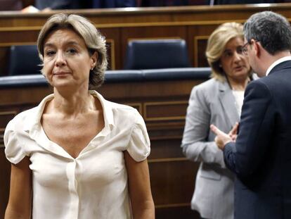 La ministra de Agricultura, Isabel García-Tejerina, en el Congreso.