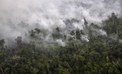 Vista área de la humareda de un incendio en Sumatra en septiembre de 2015.