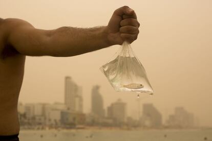 Un hombre muestra un pez capturado en una playa de Tel Aviv (Israel) bajo un cielo cubierto por el polvo de una tormenta de arena.