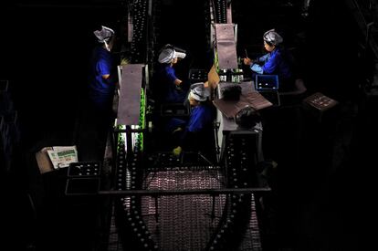 Empleados en el interior de una fábrica de cerveza en Shenyang, China.