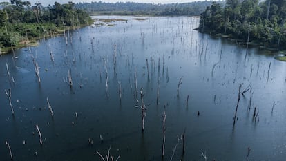 Un humedal ocasionado por una central hidroeléctrica construida en el río Xingú en el estado de Pará, Brasil. 