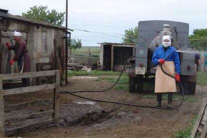 Un equipo sanitario desinfecta contra la gripe aviar una granja en Vasilievka, en Siberia, la semana pasada.