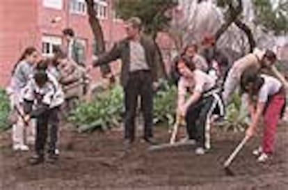 Un grupo de alumnos con varios profesores, en el huerto del colegio público Felipe II de Madrid.