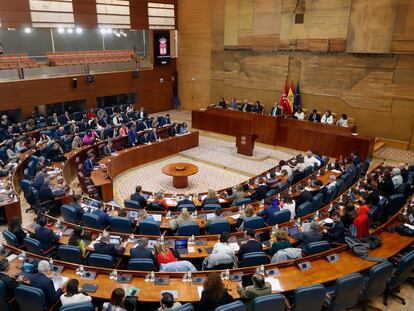 Vista general del pleno en la Asamblea de Madrid, este miércoles. EFE/ J.P. Gandul