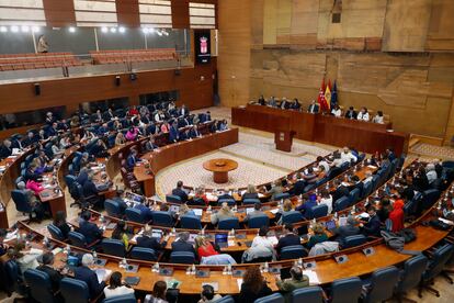 Vista general del pleno en la Asamblea de Madrid, este miércoles. EFE/ J.P. Gandul