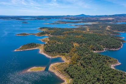 Aves y deportes en el embalse de Gabriel y Galán (Cáceres). Si España es un referente turístico mundial gracias a sus 7.905 kilómetros de costa litoral, ¿cuál podría ser el potencial de explotar, también, su costa interior, que tiene casi el doble de kilómetros? Esto es lo que se preguntaba Luís Fernando García Nicolás, vicepresidente tercero de la Diputación de Cáceres, durante la presentación del proyecto Turembalses (Creación Experiencia Turismo de Embalses en España), en diciembre de 2024. Su institución lidera esta iniciativa, que forma parte del Programa Experiencias Turismo España del Ministerio de Industria y Turismo. La provincia de Cáceres aporta 20 pantanos al total de los aproximadamente 1.200 que existen en el país, la mayoría de ellos con posibilidades de realizar actividades turísticas y recreativas. El embalse de Gabriel y Galán, en Plasencia, es un buen ejemplo: sus 7.500 hectáreas lo convierten en el más grande de Extremadura. Además, es Zona de Especial Protección para las Aves (ZEPA) y un entorno perfecto para la práctica de deportes acuáticos: piragüismo, vela o paddle surf.