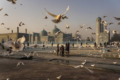 Primera hora de la mañana en el santuario de Hazrat Ali (Mezquita Azul) en Mazar-e Sarif.