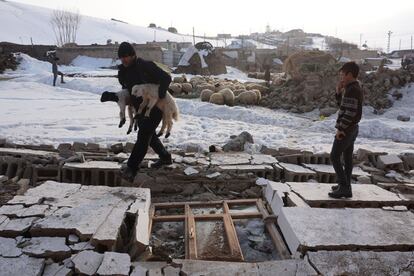 Un hombre turco lresguarda a dos ovejas en Baskale, tras un terremoto de magnitud 5,7 en el noroeste de Irán, el 24 de febrero.