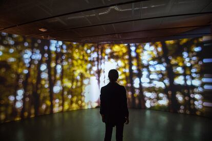 Parte de la instalacin 'The Hambach Forest and the Technological Sublime' de Joanie Lemercier