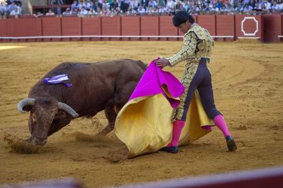 El novillero José Ruiz Muñoz, sobrino-nieto de Curro Romero, durante su debut en la novillada en la Real Maestranza.