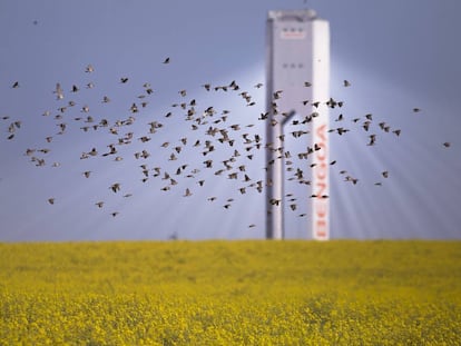 La planta solar de Abengoa en Sanl&uacute;car la Mayor, Sevilla