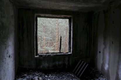 Arbres fora d'un apartament evacuat després de l'explosió, a la ciutat ucraïnesa de Prípiat.