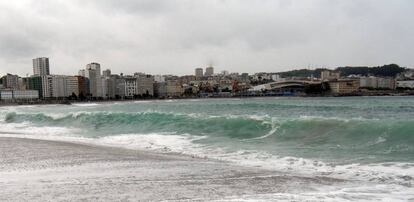 Vista general de la ensenada de Riazor en la que está ubicado el local denunciado.