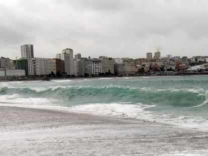 Vista general de la ensenada de Riazor en la que está ubicado el local denunciado.