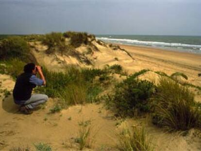 Paisaje dunar en la Flecha de El Rompido, 12 kilómetros de arena en el litoral onubense.